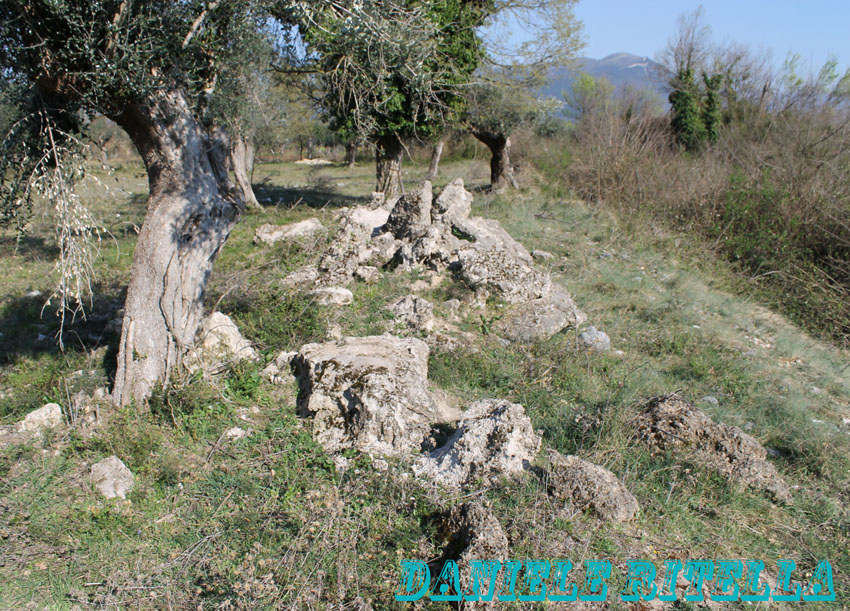 Il primo biacco dell''anno!!!